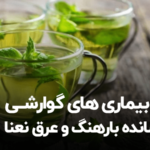 بارهنگ و عرق نعنا