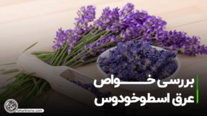 خواص عرق اسطوخودوس