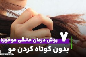 7 روش درمان خانگی موخوره بدون کوتاه کردن مو